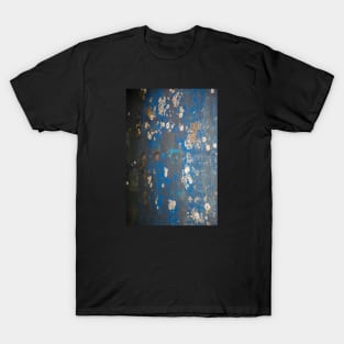 Peeled paint T-Shirt